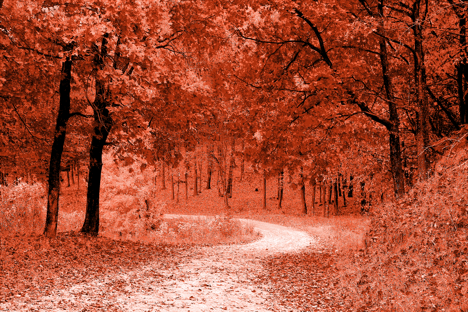 30 °C en fin octobre, anomalie ou vision d’avenir ?