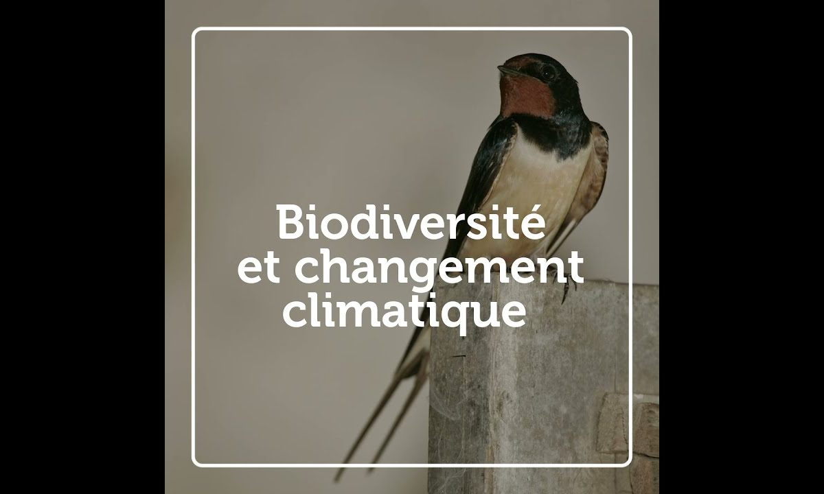 Office français de la biodiversité : le changement… c’est maintenant…
